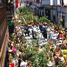 La fête de La rama d'Agaete, par Antonio Hernández, La Rama, one of the most famous celebration of the Canaries, http://www.agaete.es/