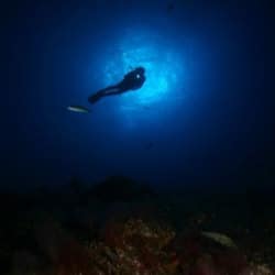 Buceo Agaete, diving in Agaete, Plongée en Grande Canarie, Tauchen im Norden von Gran Canaria, https://www.buceoagaete.com/