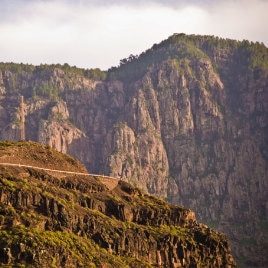 Tamadaba Natural Park by David González, la pinède du Tamadaba dans le nord-ouest de Grande Canarie, Strasse von Agaete bis El Risco