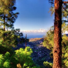 Maik Julemann, vue de la Vallée d'Agaete entre les pins, Agaete's view from the mountain, der Tal von Agaete aus den Bergen