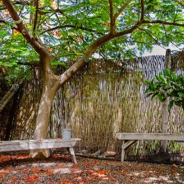 Enrique Mesa, Un coin pour se ressourcer, the perfect spot to unwind, bajo la sombra del flamboyán de la casa rural El Patio de Agaete, die perfekte Ecke für eine Digital Detox